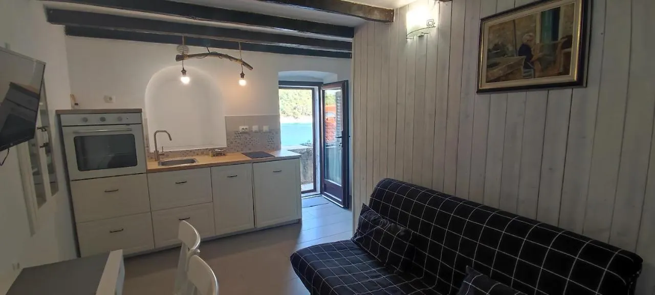 Apartment Desanti Valun 0*,